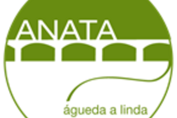 logo_anata