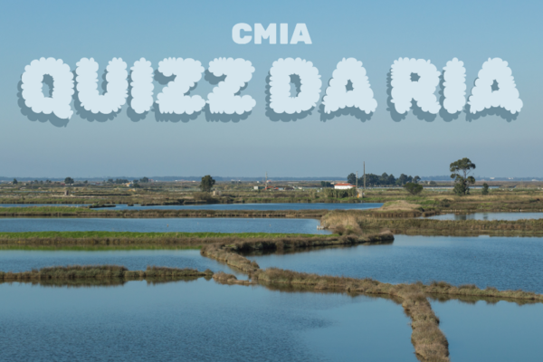 quiz_da_ria