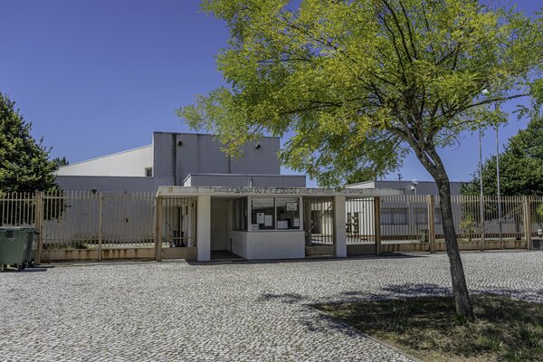 escola_basica_jose_ferreira_pinto_basto_ilhavo