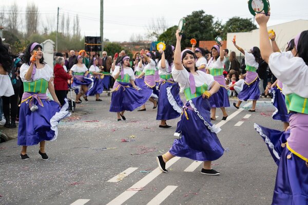 caranaval_vale_de_ilhavo_2024__1_