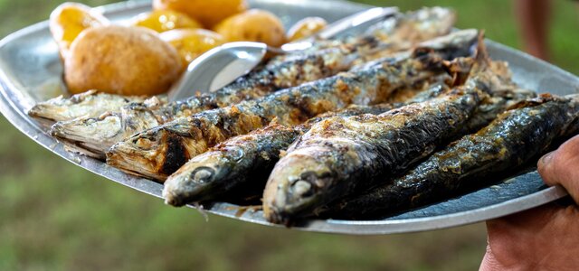 festival_da_sardinha_2025__3_