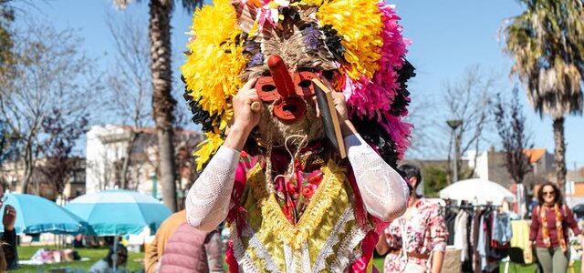 cardadores_de_vale_de_ilhavo