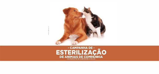 campanha_de_esterilizacao_2025