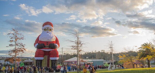 5d3_1618_1_2500_2500