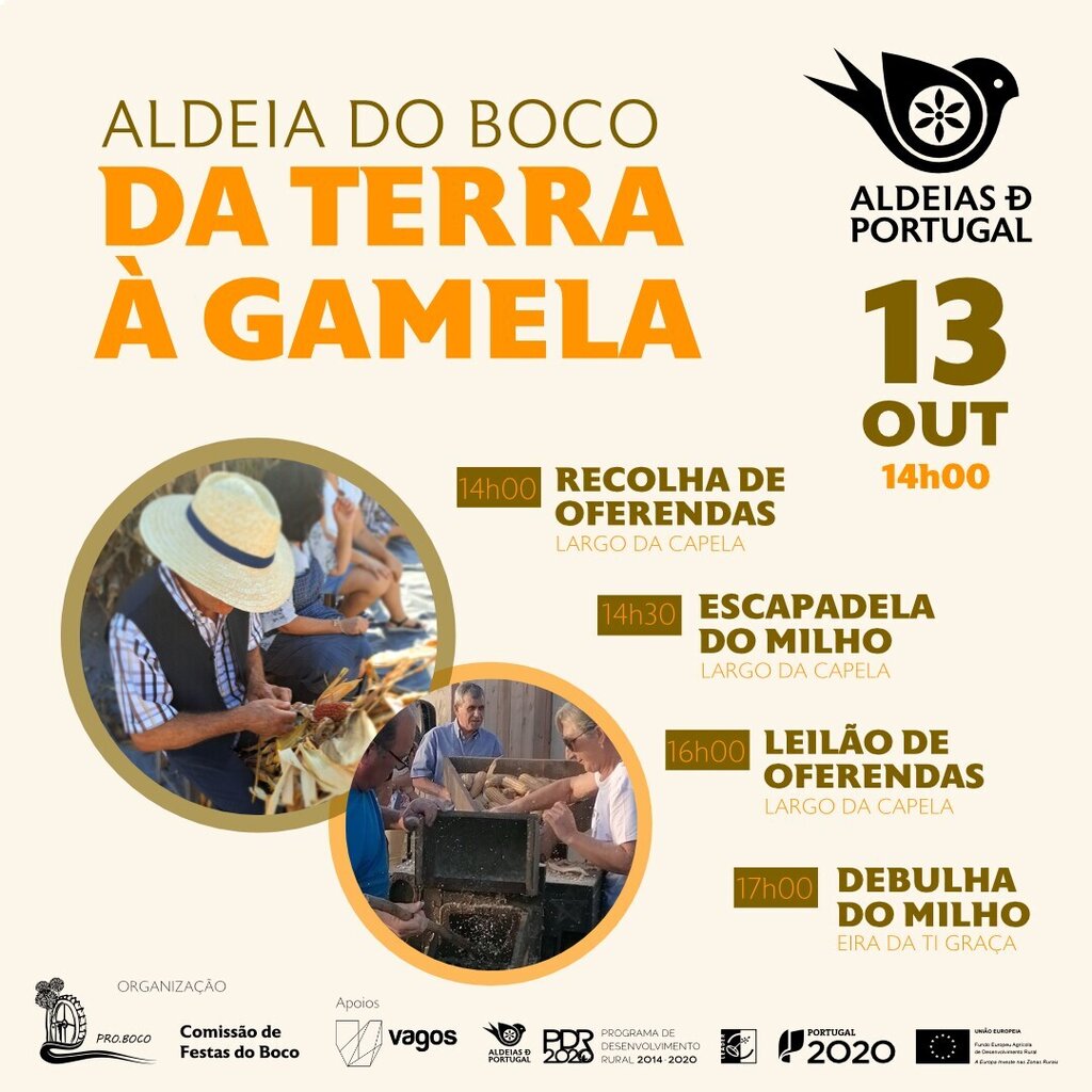 da_terra_a_gamela