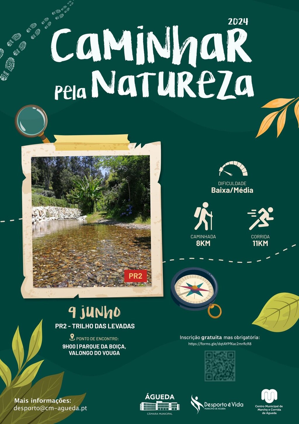 Caminhar Pela Natureza: PR2-Trilho das Levadas
