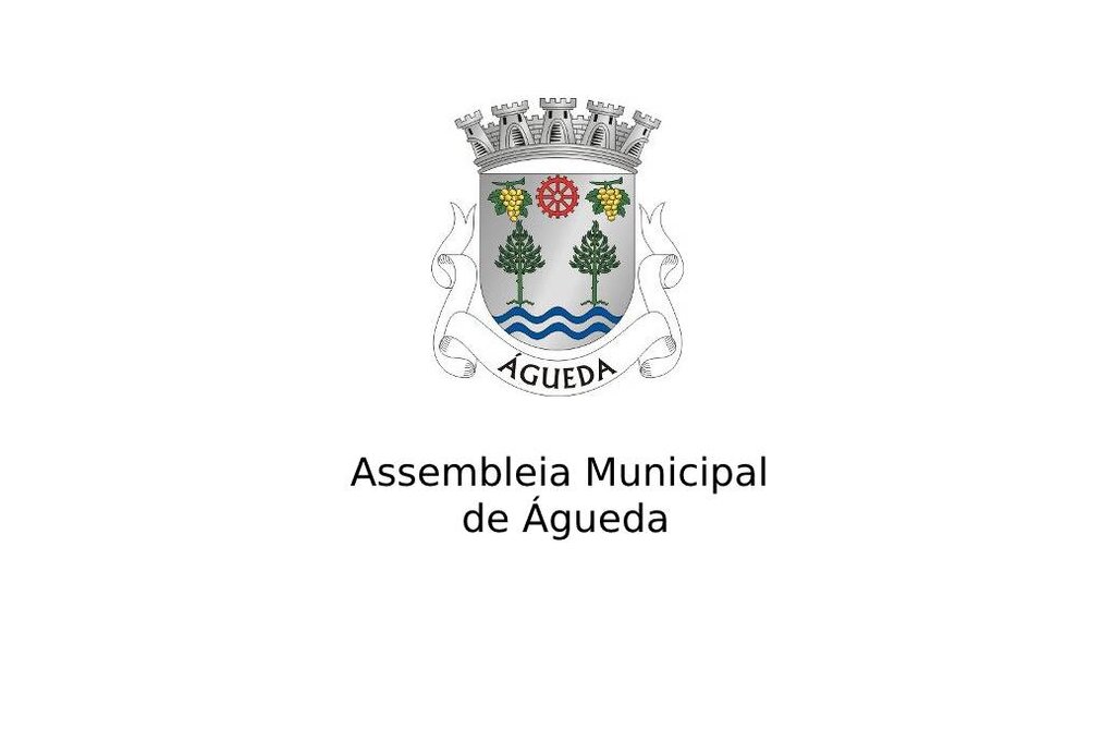 3ª Sessão Ordinária da Assembleia Municipal de Águeda 