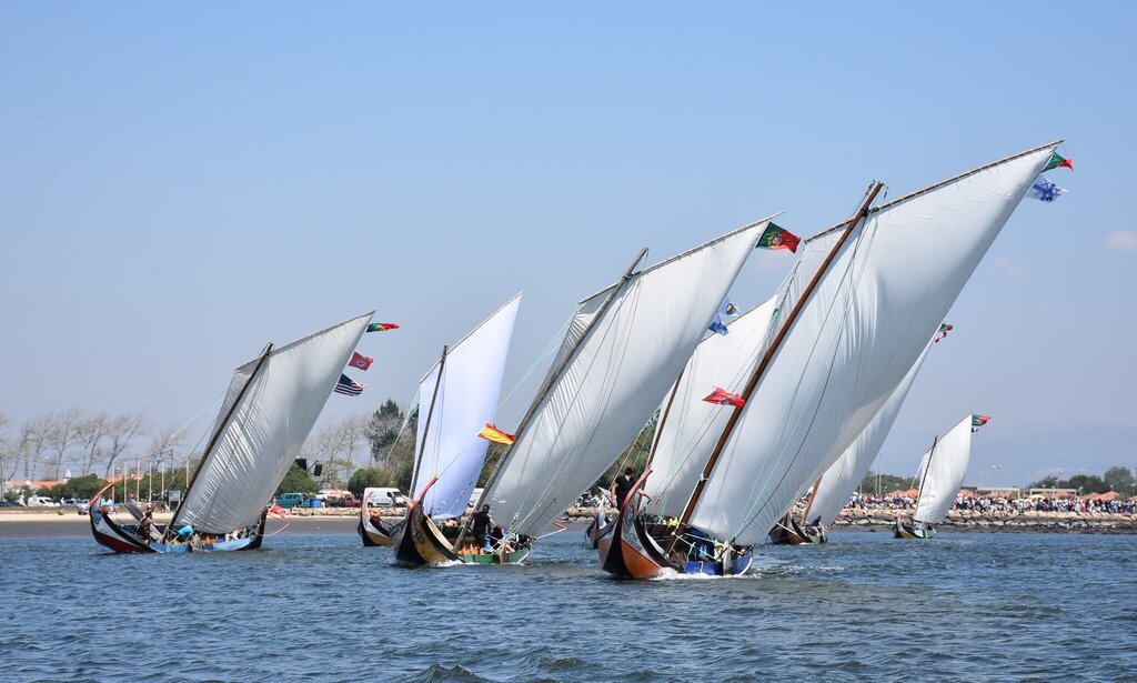 Regata de Barcos Moliceiros - Festa do Emigrante