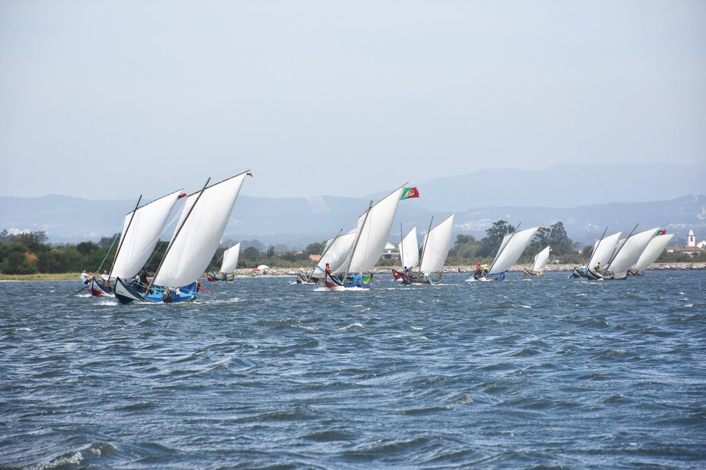 Regata de Bateiras à Vela - Festa do Emigrante