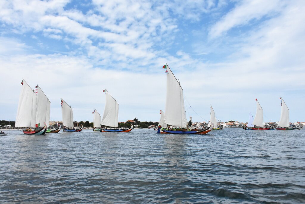 Regata de Barcos Moliceiros - Romaria de São Paio da Torreira