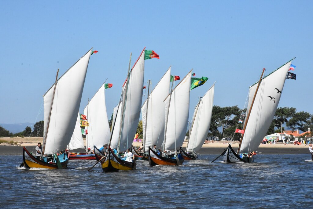 Regata de Bateiras à Vela - Romaria de São Paio da Torreira