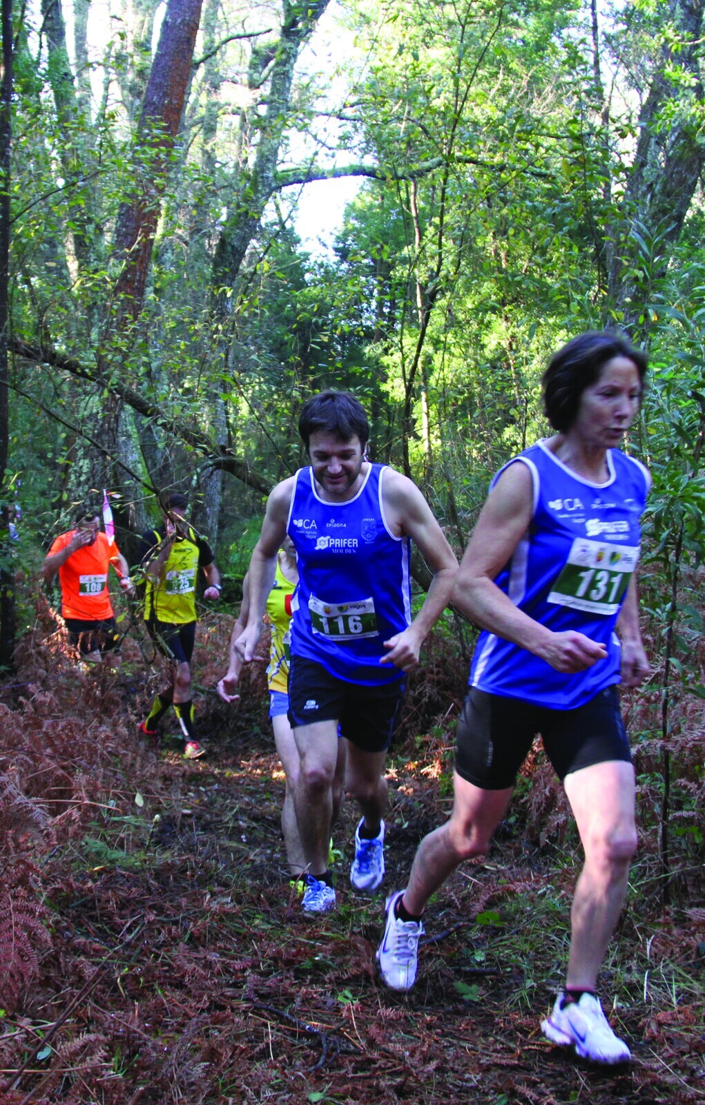 TRAIL "POR TERRAS DE FONTES E LOBOS" 2024