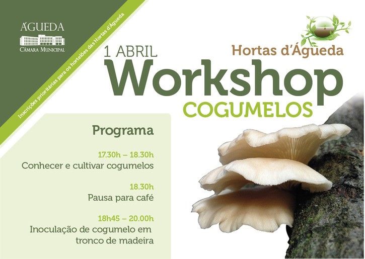 2.ª Edição do Workshop sobre “Produção de Cogumelos em Casa”