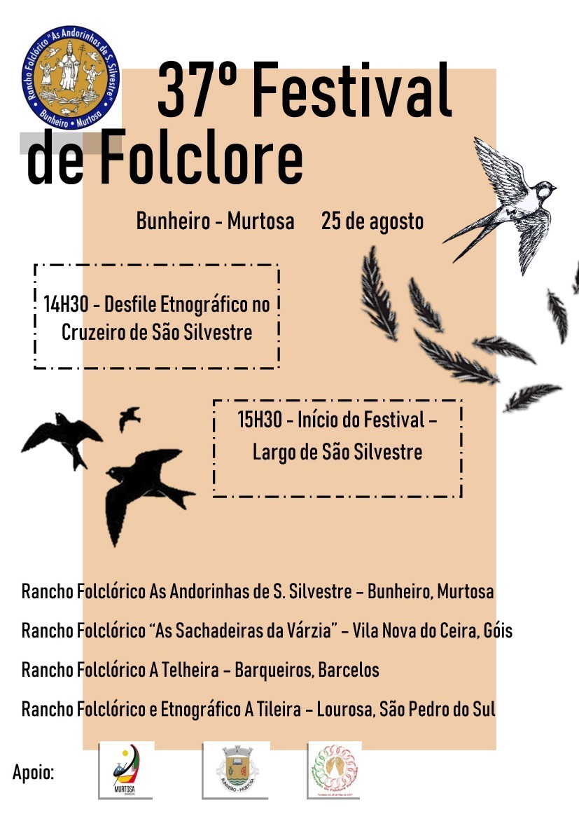 Festival de folclore do RF Andorinhas de são Silvestre 