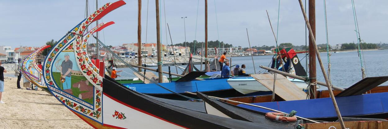Oficializada a candidatura UNESCO do “Barco Moliceiro: Arte Carpintaria Naval da Região de Aveiro”
