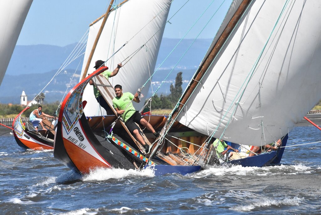 MURTOSA ORGANIZA REGATAS DE MOLICEIROS E DE BATEIRAS À VELA