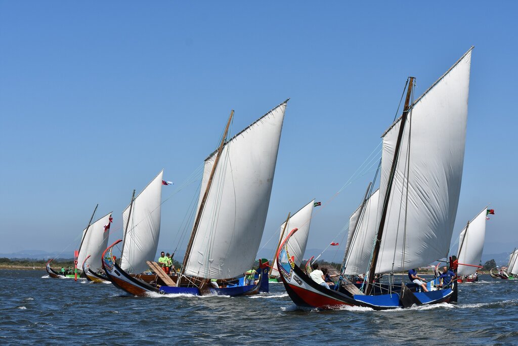 MARCO SILVA FOI O GRANDE VENCEDOR DA REGATA DE BARCOS MOLICEIROS DA FESTA DO EMIGRANTE