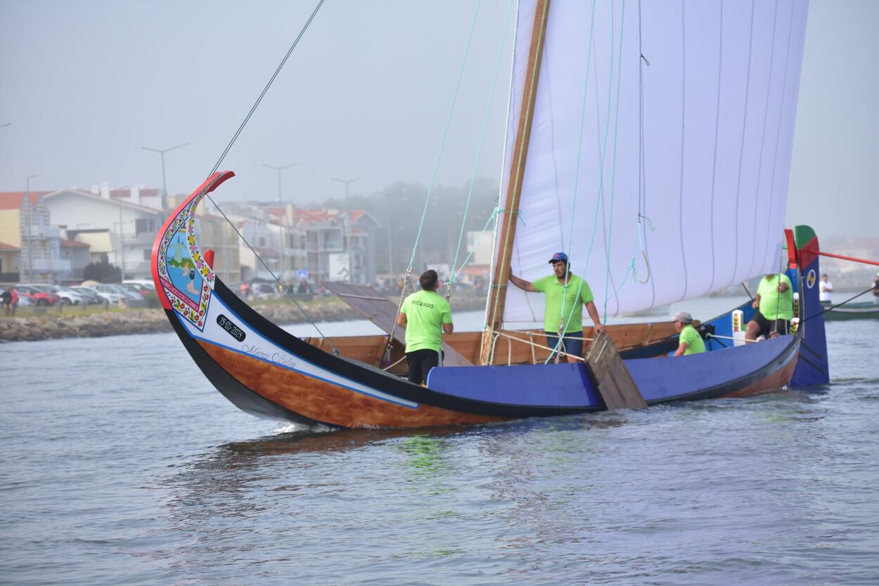 MARCO SILVA VENCEU A REGATA DE BARCOS MOLICEIROS DA ROMARIA DE SÃO PAIO DA TORREIRA