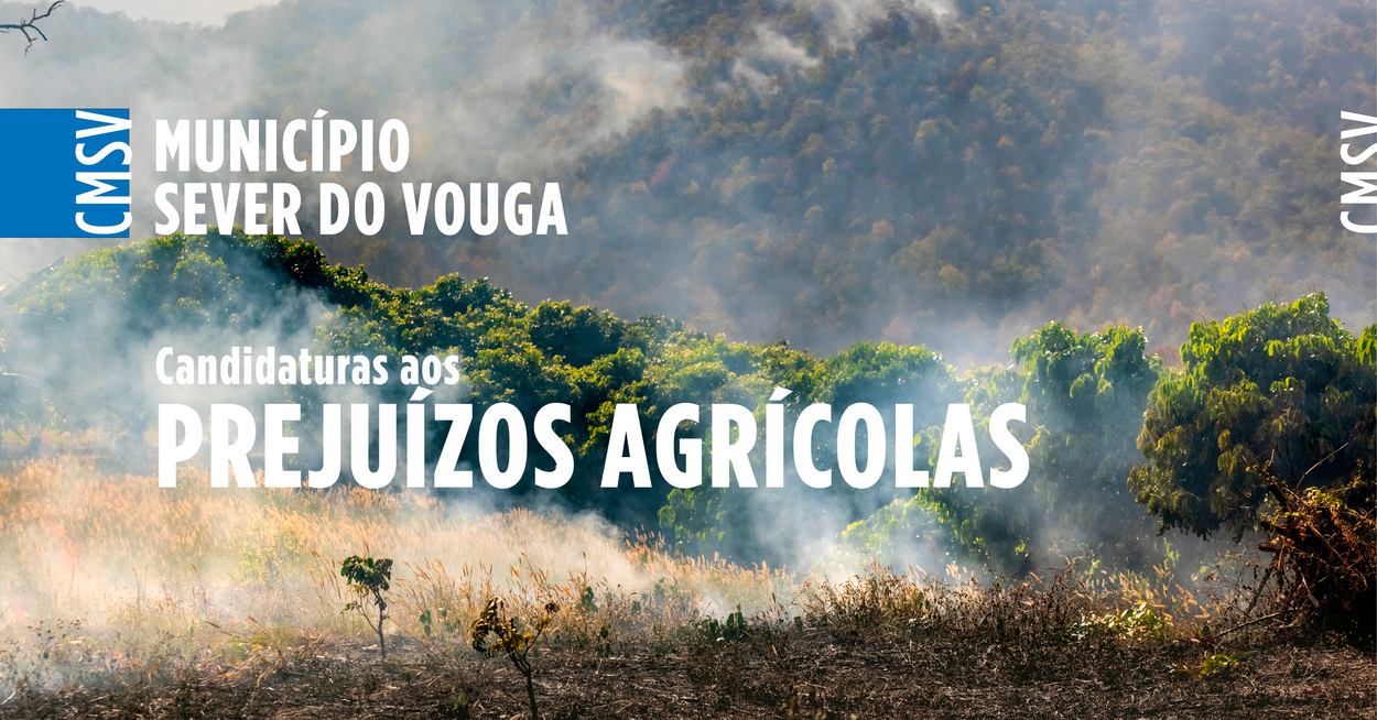 Prejuízos Agrícolas - Medidas excecionais de apoio e  mitigação do impacto dos incêndios  rurais ...