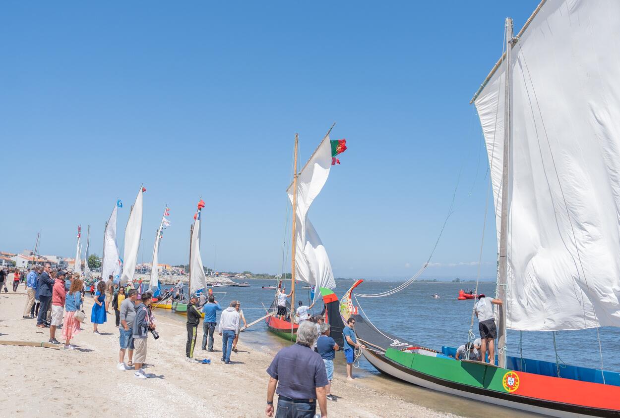 O Barco Moliceiro e a Arte da Carpintaria Naval em Candidatura à UNESCO