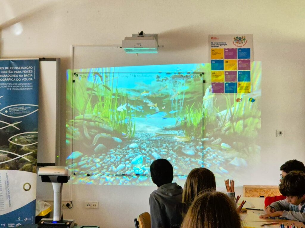 Projeto municipal leva crianças do concelho em “viagem virtual” pelos rios