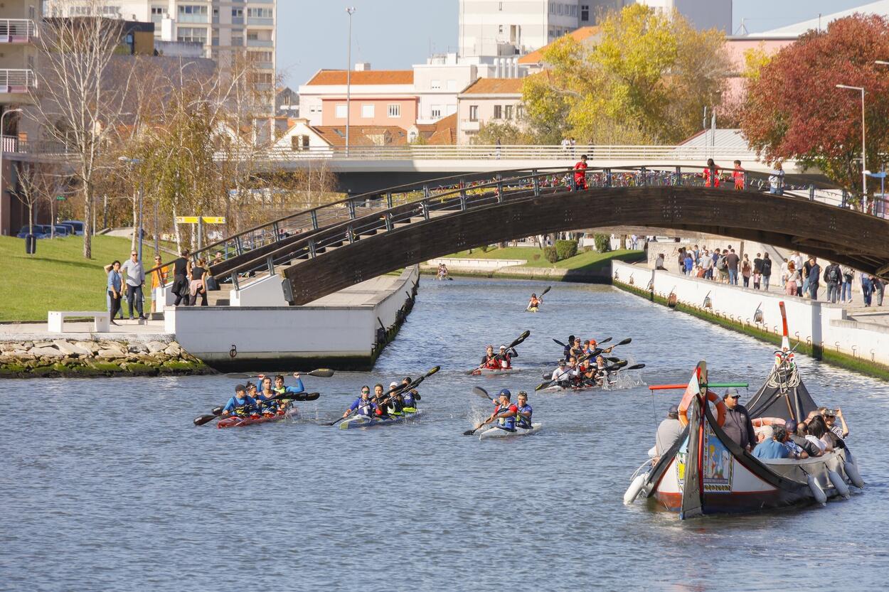 PMMA 2024/2025: Apoios Financeiros às Associações Desportivas