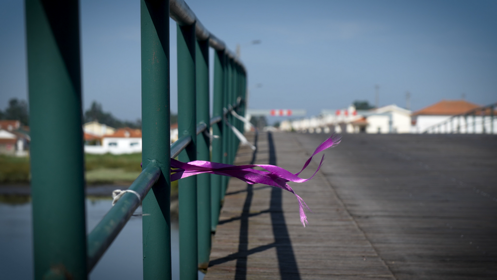 Comemoração do 45.º aniversário da abertura da 2.ª Ponte da Vista Alegre