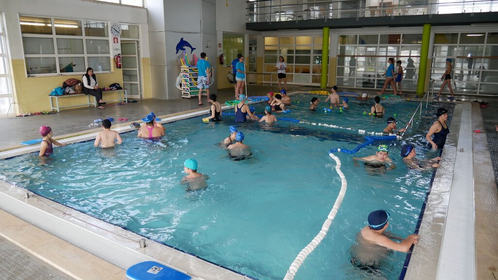 1.ª Concentração de natação adaptada de Desporto Escolar reúne 80 alunos