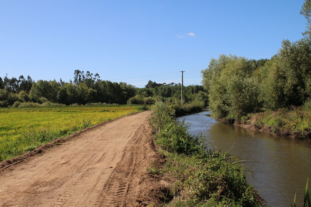 Requalificação e implementação de percursos pedonais e cicláveis na zona ribeirinha dos rios Levi...